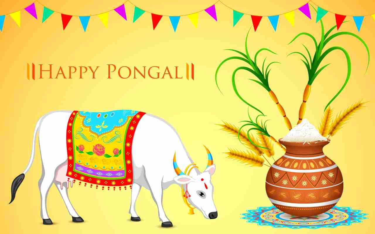 Happy Pongal Quotes in Hindi