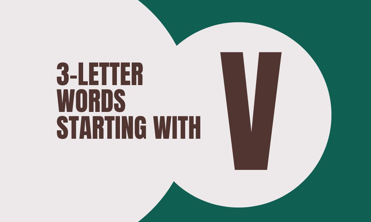 3-Letter Words Starting With V with their meanings