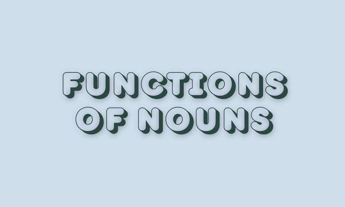 Functions of Nouns in Sentences with examples