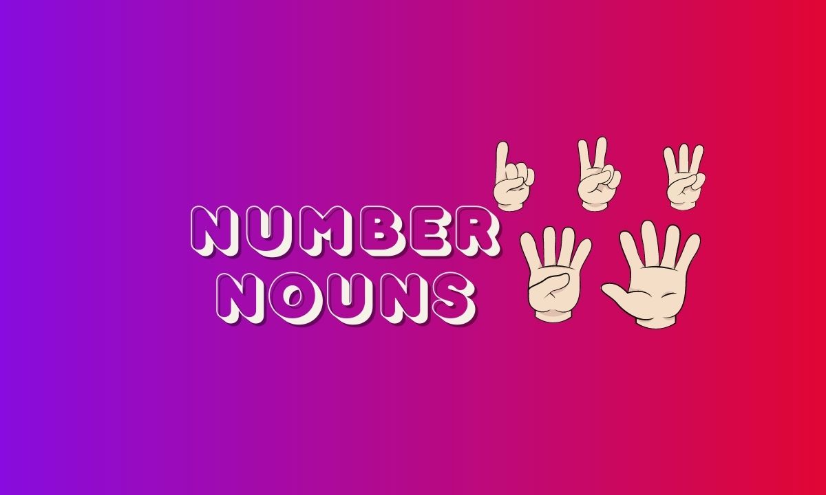 Know about Number Noun and its importance and usage