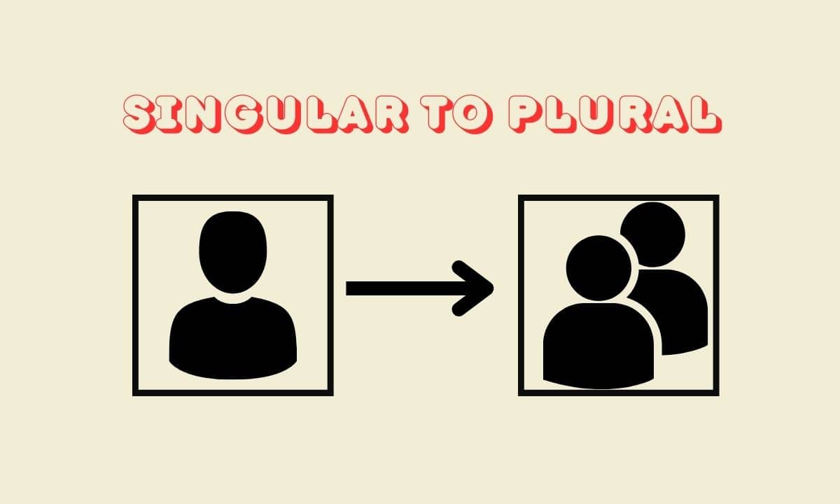 Image shows how too change nouns from singular to plural