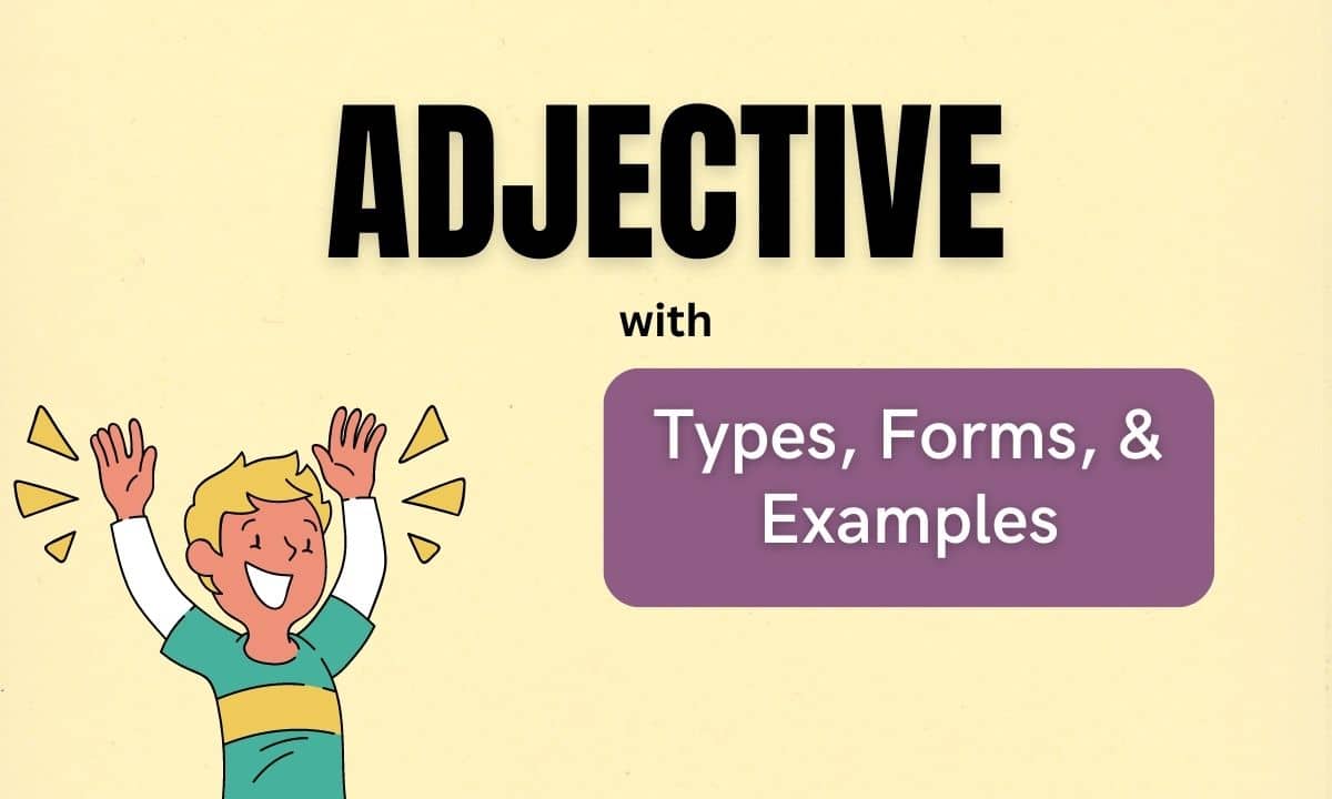 Discover how an adjective functions in a sentence