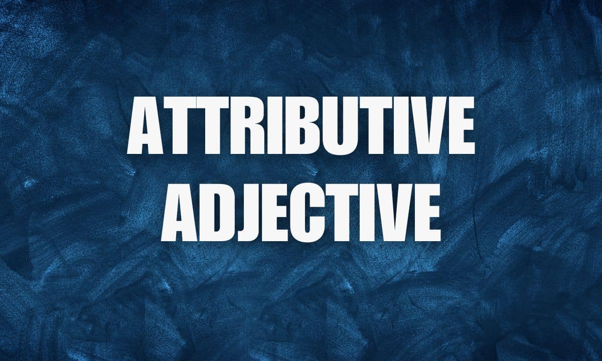 Know about Attributive Adjective with examples