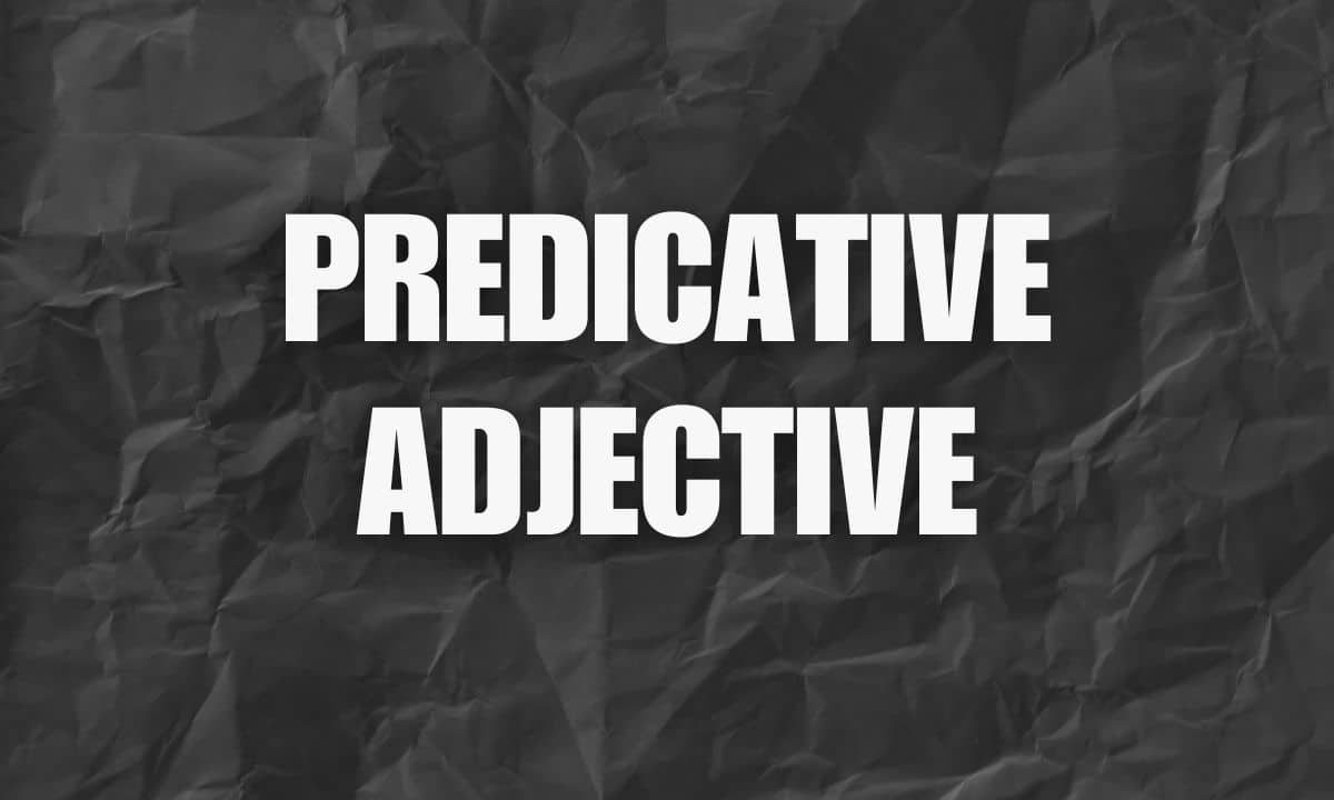 Know what is Predicative Adjective with examples