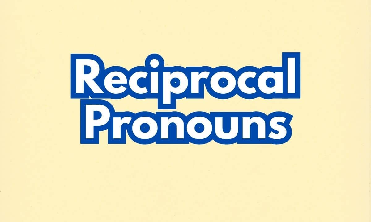 Understand what is a reciprocal pronoun