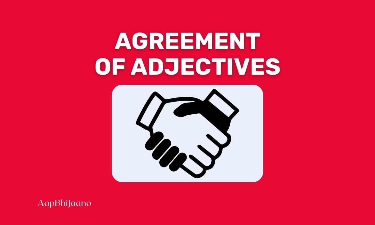 Adjective Agreement: Nouns and adjectives in harmony, matching characteristics.