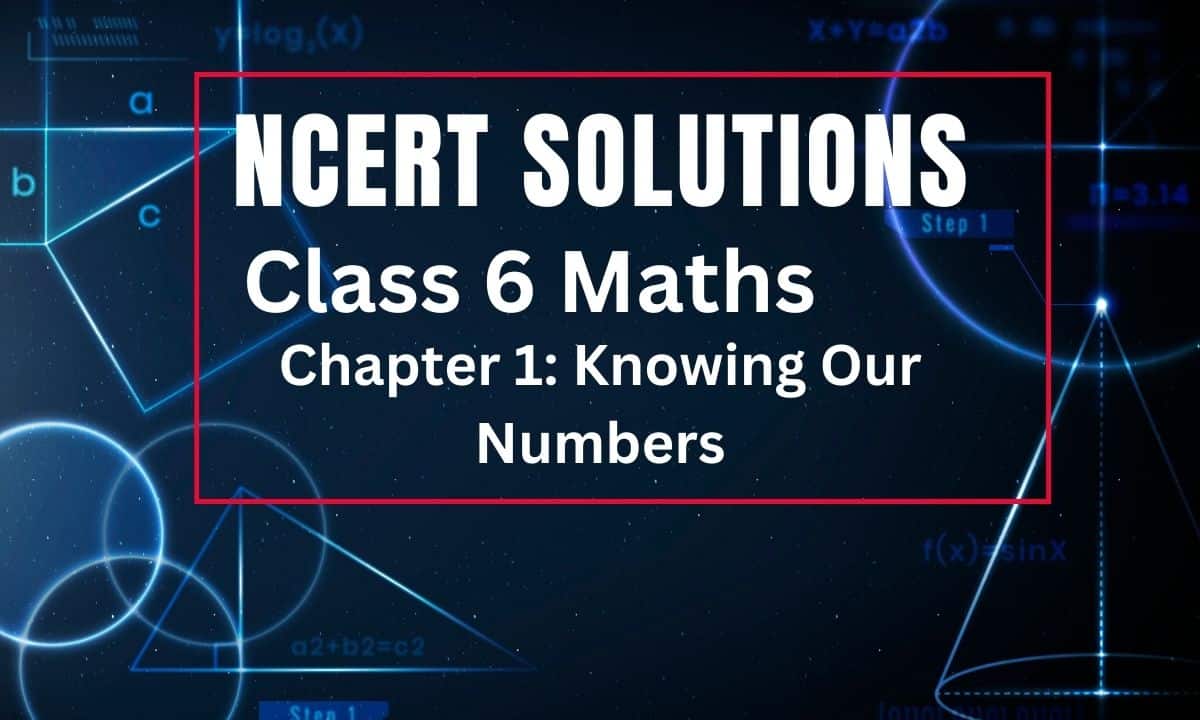 NCERT Solutions for Class 6 Maths Chapter 1 Knowing Our Numbers