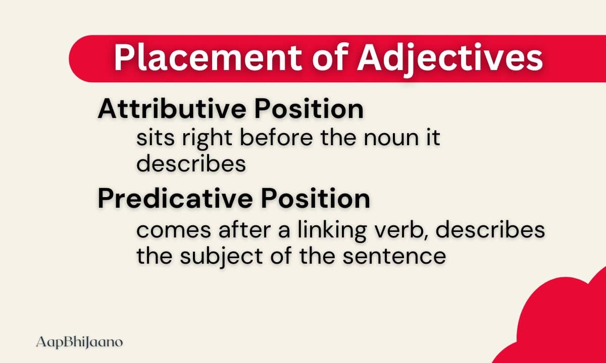 Image of a graphic explaining the two positions of adjectives in a sentence.