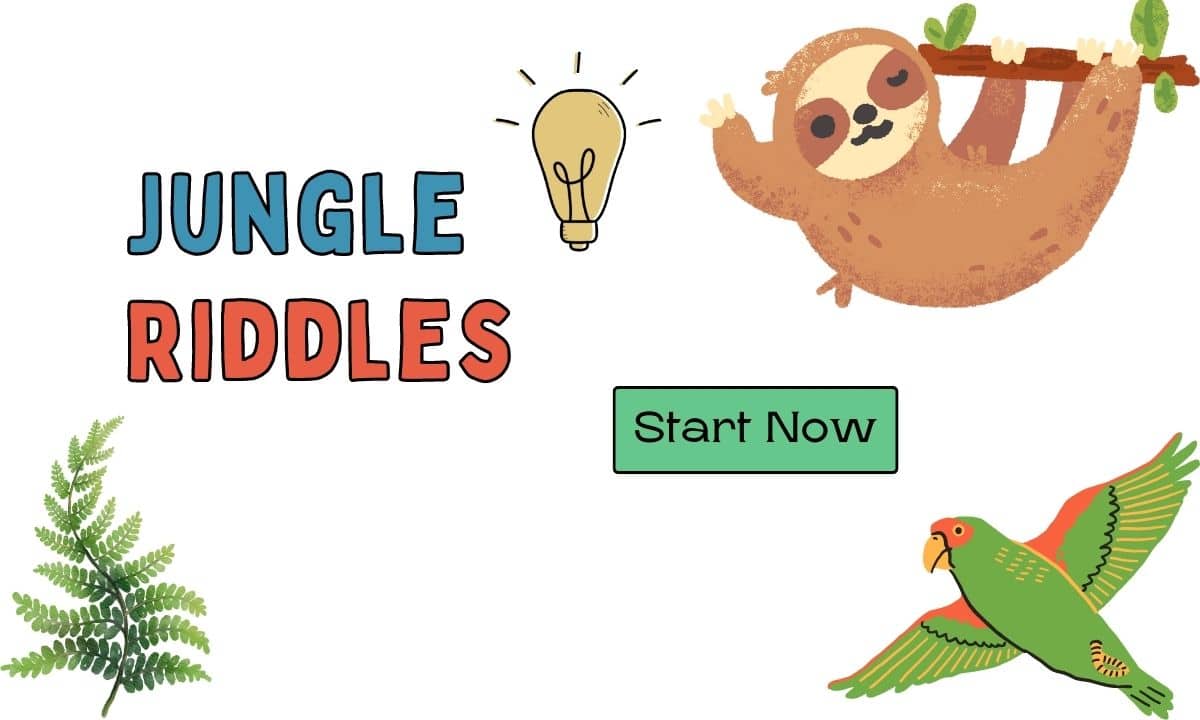 Colorful jungle riddles: a playful way for kids to learn and explore nature's wonders.