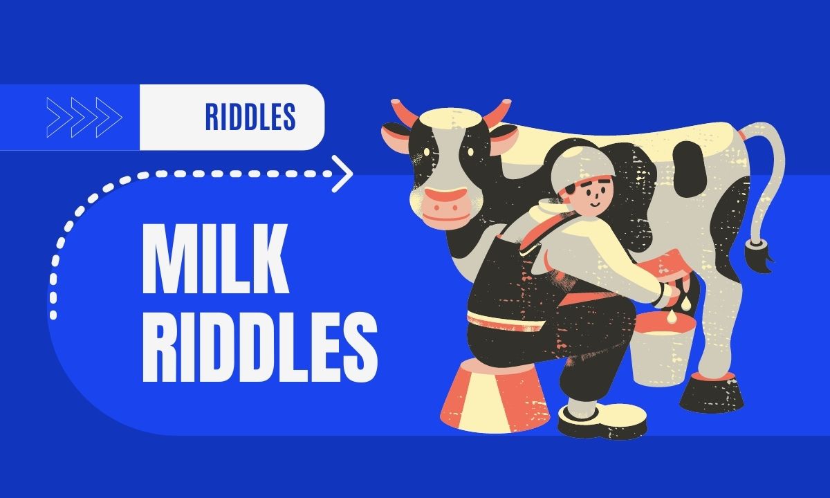 Man milking cow, milk riddles text