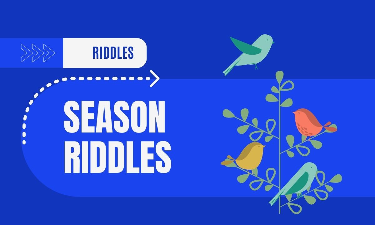 Blue banner with birds, text says season riddles.