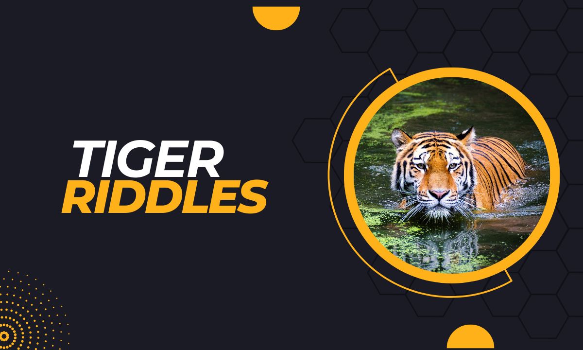Graceful tiger poses, captivating gaze, ready to challenge with intriguing riddles.