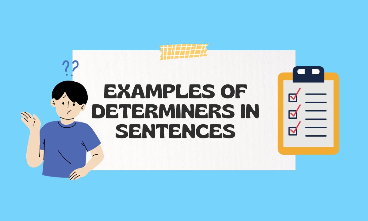 Carton with the list of examples of determiners in sentences