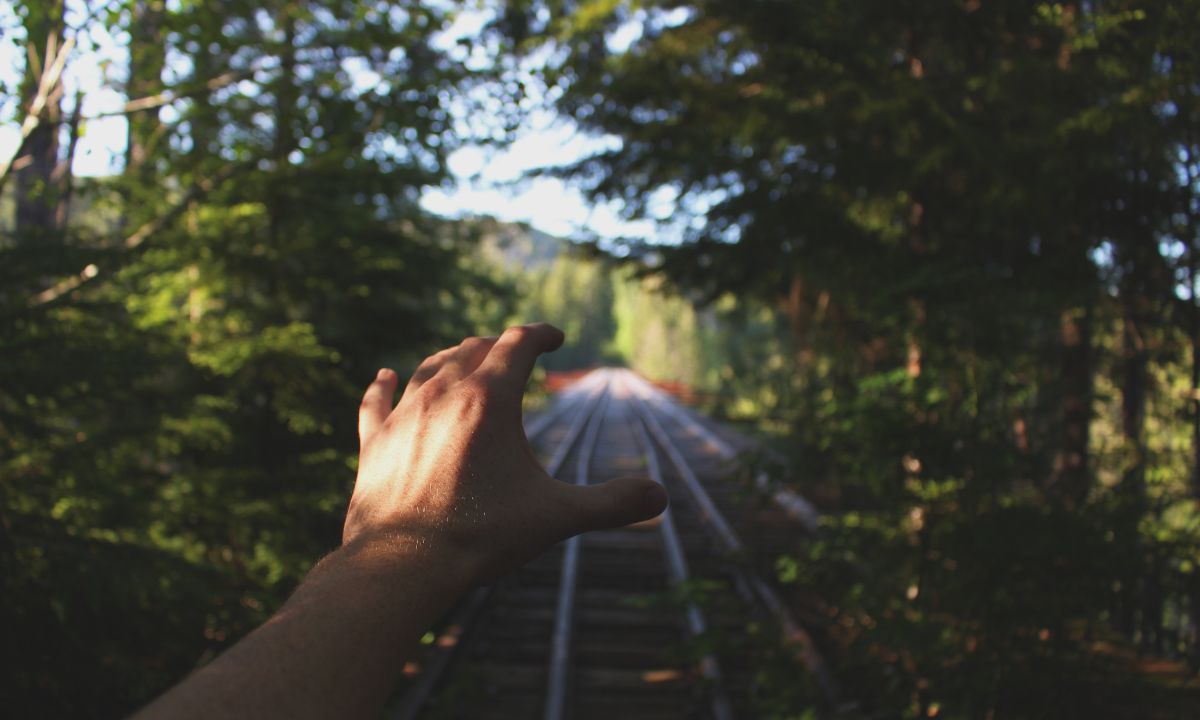 A person reaching train railways between trees image