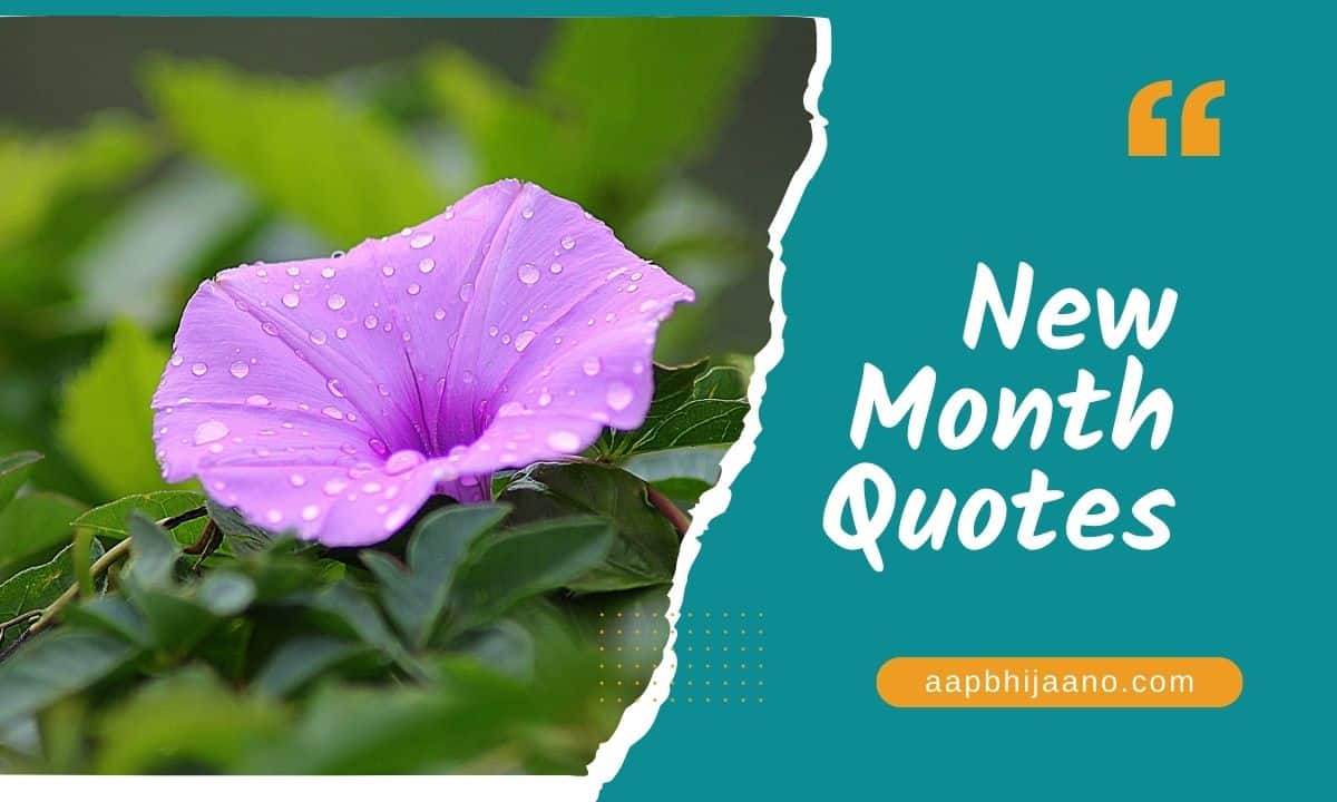 New month quotes with purple morning glory
